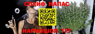 хмурый Краснознаменск
