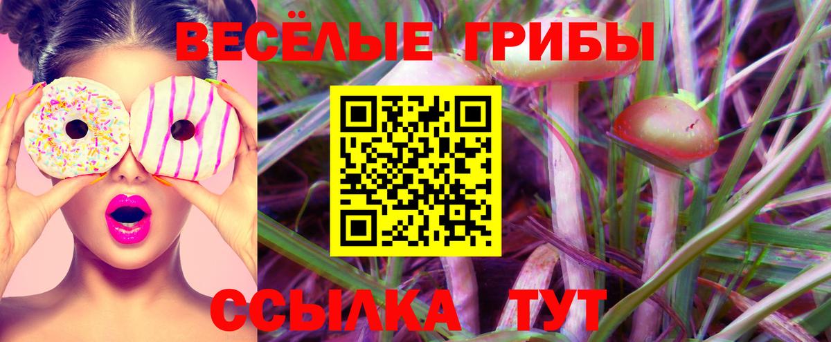 Ярославль  Псилоцибиновые грибы Cubensis  Вход с VPN 